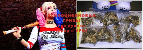стафф Майский