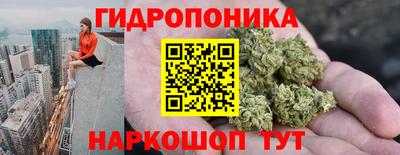 дмт Тара