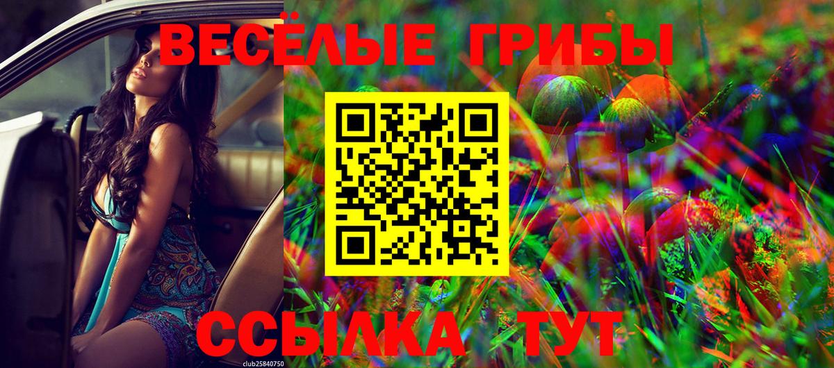 Псилоцибиновые грибы мухоморы Краснокамск